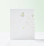 Screenshot, from July 7, 2021